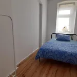 Appartement New Flat For 7 Special Price Per Month 4 Zeitz